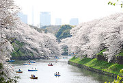 Ueno