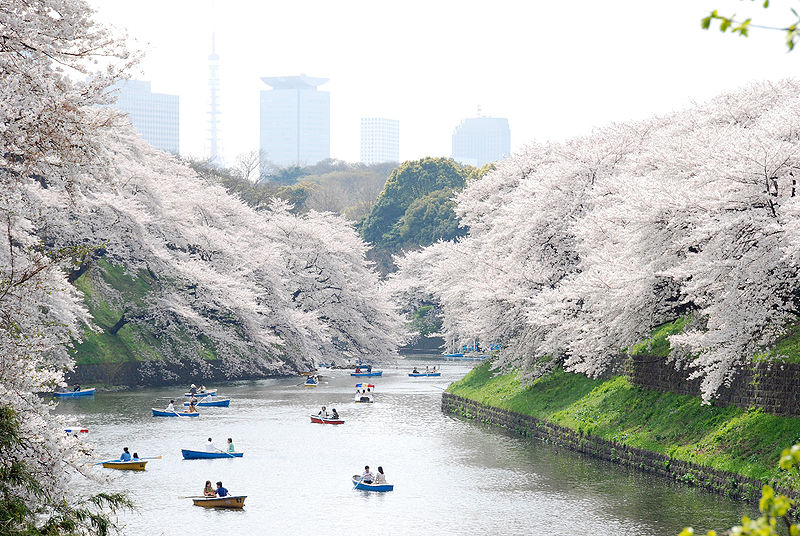 File:Ueno3.jpg