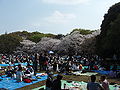 Yoyogi Park